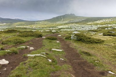 Cherni Vrah tepe, Sofya şehir bölge, Bulgaristan'dan Vitosha Mountain yeşil tepeler ile Panorama