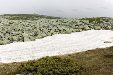 Cherni Vrah tepe, Sofya şehir bölge, Bulgaristan'dan Vitosha Mountain yeşil tepeler ile Panorama