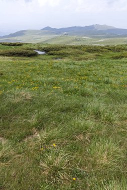 Cherni Vrah tepe, Sofya şehir bölge, Bulgaristan'dan Vitosha Mountain yeşil tepeler ile Panorama