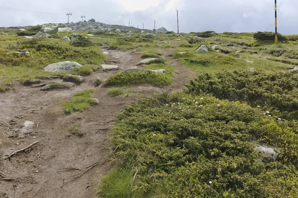 Panorama Med Gröna Kullar Vitoshaberget Från Cherni Vrah Peak Sofia — Stockfoto