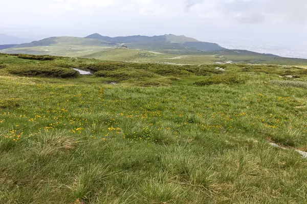 Panorama Con Colinas Verdes Montaña Vitosha Cherni Vrah Peak Región —  Fotos de Stock