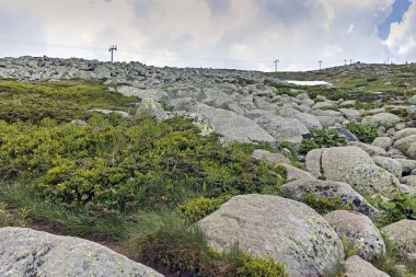 Vitosha Dağı 'nda Cherni Vrah Peak yakınlarındaki yaz peyzaj, Sofya şehir bölgesi, Bulgaristan