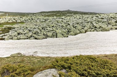 Vitosha Dağı 'nda Cherni Vrah Peak yakınlarındaki yaz peyzaj, Sofya şehir bölgesi, Bulgaristan