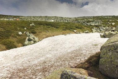 Vitosha Dağı 'nda Cherni Vrah Peak yakınlarındaki yaz peyzaj, Sofya şehir bölgesi, Bulgaristan