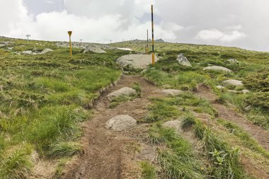 Vitosha Dağı 'nda Cherni Vrah Peak yakınlarındaki yaz peyzaj, Sofya şehir bölgesi, Bulgaristan