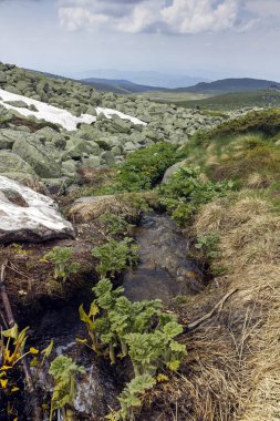 Vitosha Dağı 'nda Cherni Vrah Peak yakınlarındaki yaz peyzaj, Sofya şehir bölgesi, Bulgaristan