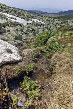 Vitosha Dağı 'nda Cherni Vrah Peak yakınlarındaki yaz peyzaj, Sofya şehir bölgesi, Bulgaristan