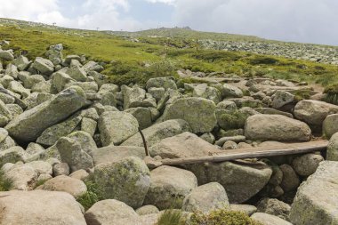 Vitosha Dağı 'nda Cherni Vrah Peak yakınlarındaki yaz peyzaj, Sofya şehir bölgesi, Bulgaristan