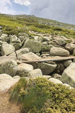 Vitosha Dağı 'nda Cherni Vrah Peak yakınlarındaki yaz peyzaj, Sofya şehir bölgesi, Bulgaristan