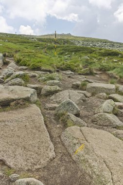 Vitosha Dağı 'nda Cherni Vrah Peak yakınlarındaki yaz peyzaj, Sofya şehir bölgesi, Bulgaristan
