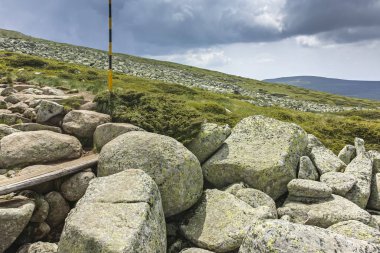 Vitosha Dağı 'nda Cherni Vrah Peak yakınlarındaki yaz peyzaj, Sofya şehir bölgesi, Bulgaristan