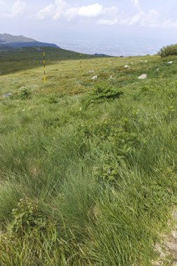 Vitosha Dağı 'nda Cherni Vrah Peak yakınlarındaki yaz peyzaj, Sofya şehir bölgesi, Bulgaristan