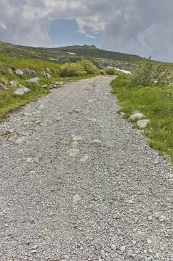 Vitosha Dağı 'nda Cherni Vrah Peak yakınlarındaki yaz peyzaj, Sofya şehir bölgesi, Bulgaristan