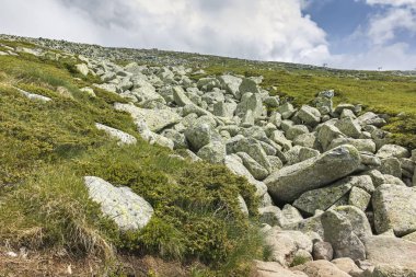 Vitosha Dağı 'nda Cherni Vrah Peak yakınlarındaki yaz peyzaj, Sofya şehir bölgesi, Bulgaristan