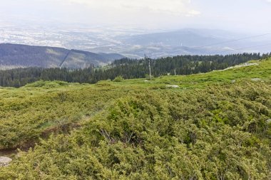 Vitosha Dağı 'nda Cherni Vrah Peak yakınlarındaki yaz peyzaj, Sofya şehir bölgesi, Bulgaristan