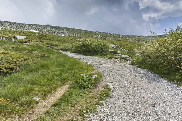 Sommar Landskap Nära Cherni Vrah Topp Vid Vitosha Mountain Sofia — Stockfoto