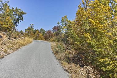 Şaşırtıcı sonbahar manzara Ruen Dağı - Kuzey kesiminde Vlahina Dağı, Köstendil bölge, Bulgaristan
