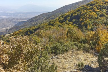Şaşırtıcı sonbahar manzara Ruen Dağı - Kuzey kesiminde Vlahina Dağı, Köstendil bölge, Bulgaristan