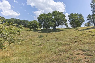 Bulgaristan 'ın Blagoevgrad bölgesindeki Ograzhden Dağı Yaz Manzarası
