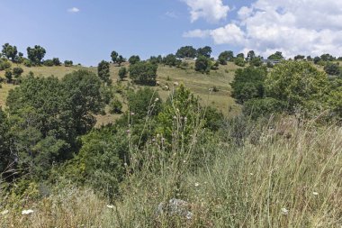 Bulgaristan 'ın Blagoevgrad bölgesindeki Ograzhden Dağı Yaz Manzarası