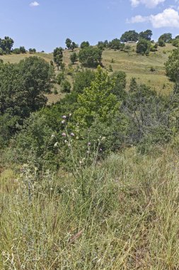 Bulgaristan 'ın Blagoevgrad bölgesindeki Ograzhden Dağı Yaz Manzarası