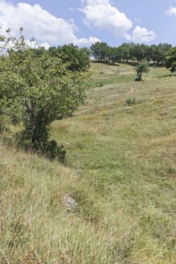 Bulgaristan 'ın Blagoevgrad bölgesindeki Ograzhden Dağı Yaz Manzarası