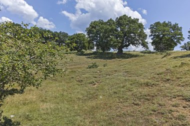 Bulgaristan 'ın Blagoevgrad bölgesindeki Ograzhden Dağı Yaz Manzarası