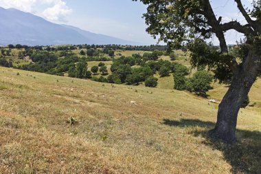 Bulgaristan 'ın Blagoevgrad bölgesindeki Ograzhden Dağı Yaz Manzarası