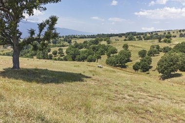 Bulgaristan 'ın Blagoevgrad bölgesindeki Ograzhden Dağı Yaz Manzarası