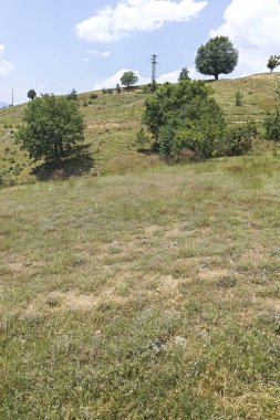 Bulgaristan 'ın Blagoevgrad bölgesindeki Ograzhden Dağı Yaz Manzarası