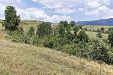 Bulgaristan 'ın Blagoevgrad bölgesindeki Ograzhden Dağı Yaz Manzarası
