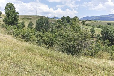 Bulgaristan 'ın Blagoevgrad bölgesindeki Ograzhden Dağı Yaz Manzarası