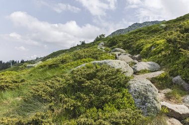 Vitosha Dağı Yaz Manzarası, Sofya Şehir Bölgesi, Bulgaristan