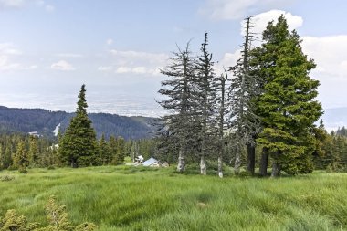 Vitosha Dağı Yaz Manzarası, Sofya Şehir Bölgesi, Bulgaristan