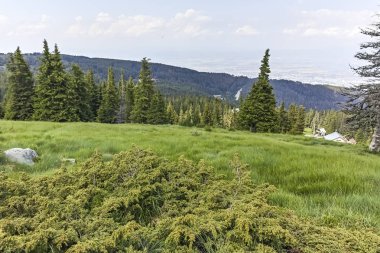 Vitosha Dağı Yaz Manzarası, Sofya Şehir Bölgesi, Bulgaristan