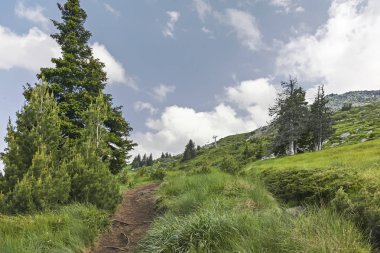 Vitosha Dağı Yaz Manzarası, Sofya Şehir Bölgesi, Bulgaristan