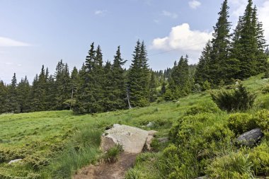 Vitosha Dağı Yaz Manzarası, Sofya Şehir Bölgesi, Bulgaristan