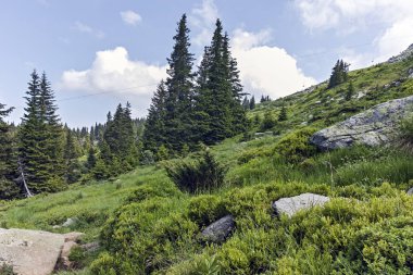Vitosha Dağı Yaz Manzarası, Sofya Şehir Bölgesi, Bulgaristan