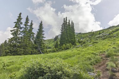 Vitosha Dağı Yaz Manzarası, Sofya Şehir Bölgesi, Bulgaristan