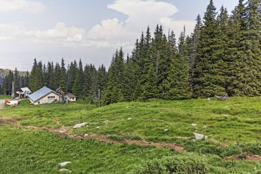 Vitosha Dağı Yaz Manzarası, Sofya Şehir Bölgesi, Bulgaristan