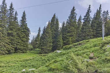 Vitosha Dağı Yaz Manzarası, Sofya Şehir Bölgesi, Bulgaristan