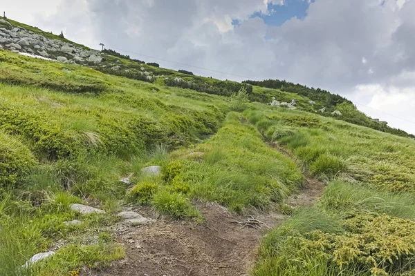 Paisaje Verano Montaña Vitosha Región Ciudad Sofía Bulgaria —  Fotos de Stock