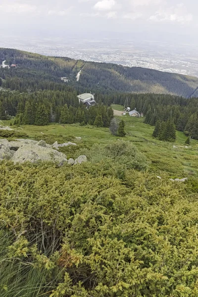 Summer Landscape Vitosha Mountain Sofia City Region Bulgaria — Stock Photo, Image