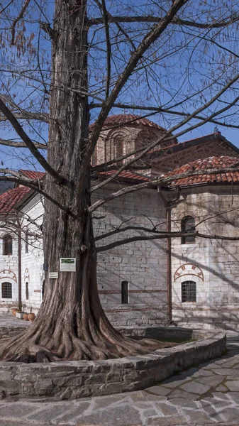 Bachkovo Monastery Bulgária Fevereiro 2019 Edifícios Medievais Mosteiro Bachkovo Dormição — Fotografia de Stock