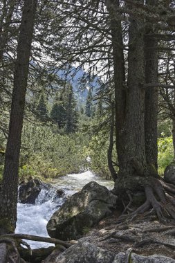 Malyovitsa zirvesi, Rila Dağı, Bulgaristan 'ın yürüyüş parkurundan manzara