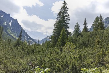 Malyovitsa zirvesi, Rila Dağı, Bulgaristan 'ın yürüyüş parkurundan manzara