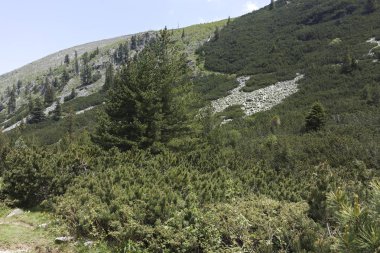 Malyovitsa zirvesi, Rila Dağı, Bulgaristan 'ın yürüyüş parkurundan manzara