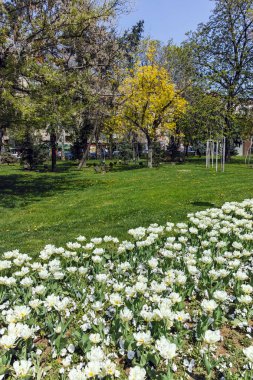 Sofya, Bulgaristan -14 Nisan 2018: Sofya'da Çiçek Bahçesi ve Ulusal Kültür Sarayı'nın muhteşem manzarası, Bulgaristan