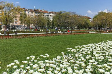 Sofya, Bulgaristan -14 Nisan 2018: Sofya'da Çiçek Bahçesi ve Ulusal Kültür Sarayı'nın muhteşem manzarası, Bulgaristan