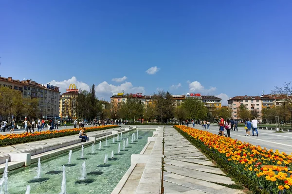Sofia Bulgaria Abril 2018 Increíble Vista Del Jardín Flores Palacio — Foto de Stock